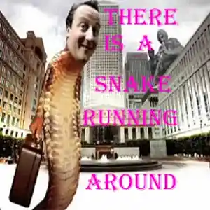 Picture for song 'A Snake Running Around' by artist 'Freddy J'