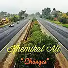 Picture for song 'Changes (Goin' Thru)' by artist 'KHEMIKAL ALI'