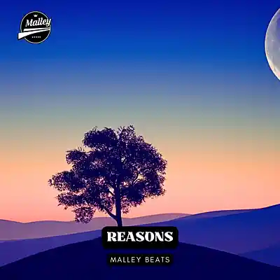 Picture for song 'REASONS [MELODIC GUITAR TRAP TYPE BEAT]' by artist 'Malley Beats'