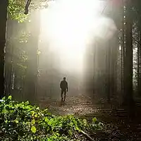 Song picture