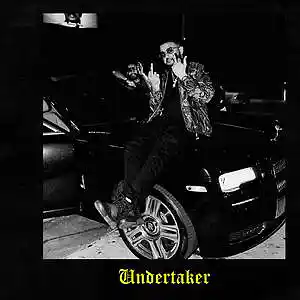 Picture for song 'Undertaker *(FREE BEAT)*' by artist 'Nexta Got Heat'