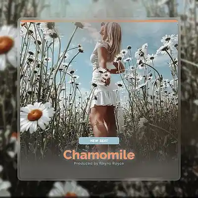 Song picture