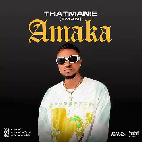 Picture for song 'AMAKA' by artist 'Thatmanie'