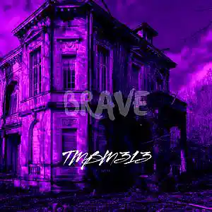 Picture for song 'Brave' by artist 'TMBM313'