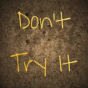 Picture for song 'don't try it' by artist 'Adron Got Hits'