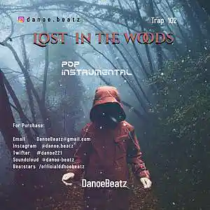 Picture for song 'LOST IN THE WOODS' by artist 'DanoeBeatz'