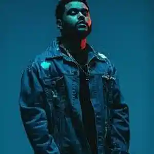 Picture for song 'NEW *Weeknd* Type Beat' by artist 'Hip Hop Beats and Rap Instrumentals By The Mob'