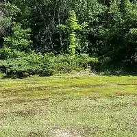 Picture for song 'It's Dark Outside' by artist 'Joe Aldworth'