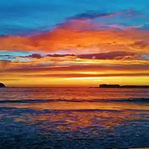 Picture for song 'PULSE BLACK MAMBA LA oilocCOVOCATION' by artist 'mcmakktenicetxtheprince'