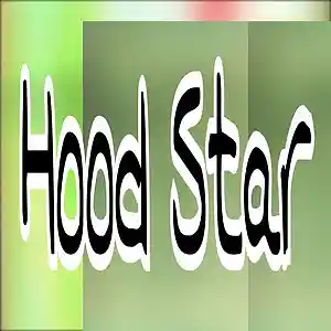 Picture for song 'hood star' by artist 'Adron Got Hits'