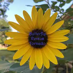 Picture for song 'Echoes of The Bison Herds' by artist 'Butterfly Versus Tornado'