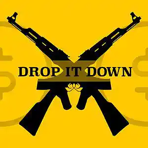 Picture for song 'Drop It Down' by artist 'THE CODE MUSIC'
