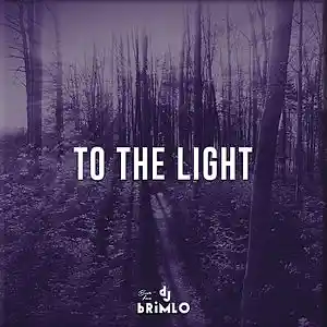 Picture for song 'To The Light (Buy 1 Get 1)' by artist 'DJ brimLo'