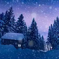 Picture for song 'Generic and Safe Instrumental Winter Music' by artist 'Dollar Bill and the Unmentionables'