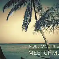 Picture for song 'Roll One' by artist 'MeetchMusic'