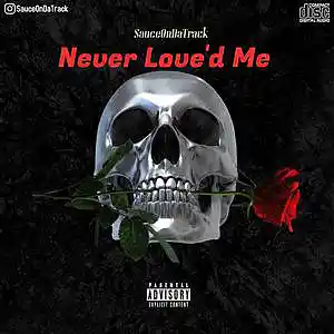 Picture for song 'Never Love'd Me' by artist 'SauceDaProducer'