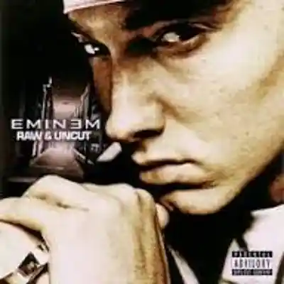 Picture for song '911extraversioneminemftgirleminememinem' by artist 'Eminem 2'