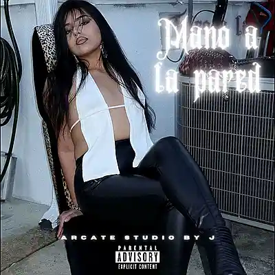 Picture for song 'MANO A LA PARED' by artist 'Arcate Studio by J'