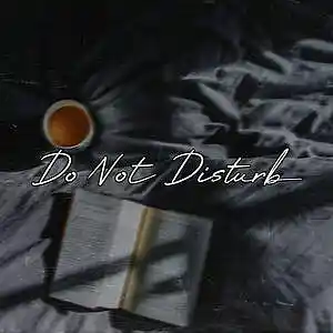 Picture for song 'Do Not Disturb (Free Download)' by artist 'Frankenstein Beats'