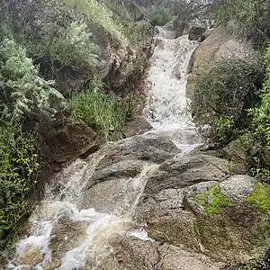 Picture for song '"We're Getting Crab Too!"' by artist 'Gagmesharkoff'