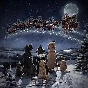 Picture for song 'White Christmas' by artist 'Keith Mitchell'