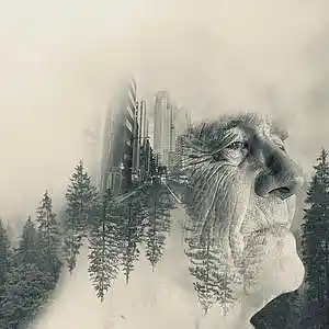 Picture for song 'Musings of an Old Man' by artist 'Round The Globe'