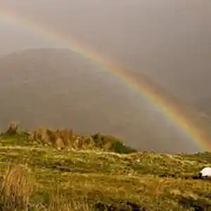 Picture for song 'End Scene' by artist 'Schumacher'