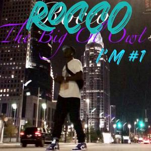 Picture for song 'IM #1' by artist 'THE BIG OL OWL'
