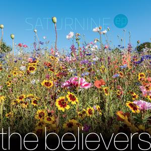 Picture for song 'I Can't Change Anything' by artist 'The Believers'