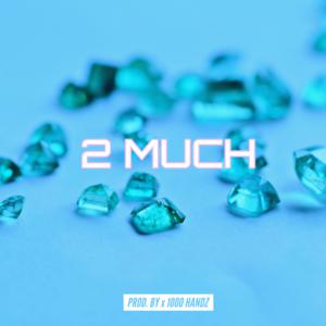 Picture for song '2 Much' by artist '1000 Handz'