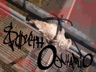 Picture for song 'Here In South Ontario' by artist '2trap'