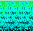 Picture for song 'attractors' by artist '3 of Spades'