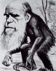 Picture for song 'Revolution aka RE' by artist '666christ777'
