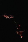 Picture for song 'Flathead Dance' by artist '7enderman'