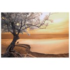 Picture for song 'Golden Mellow' by artist '7rion'