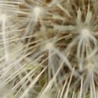 Picture for song 'Of things to come' by artist '7StringJazz'