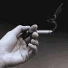 Picture for song 'Jay King Ft. KillaC - Freestylin' by artist '902JayKing'