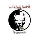 Picture for song 'WE WORK & TRAP' by artist 'ACT A DOGG Militants'