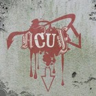 Picture for song '1. Mai [New World Order]' by artist 'Acuf Rap'