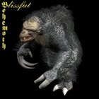 Picture for song 'Giant for Another Hour (aka Giantessence)' by artist 'Adam Levin'