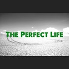 Picture for song 'The Perfect Life' by artist 'Adam Scurry'