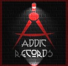 Picture for song 'Shake It' by artist 'Addic Records'