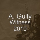 Picture for song 'witness 2010' by artist 'A Gully'