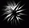 Picture for song 'Intermission' by artist 'A Kroes'