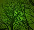 Picture for song 'zwartz' by artist 'aldotic'