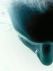 Picture for song 'This Is Not' by artist 'Mousefly'