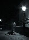 Picture for song 'To All My Enemies: Fall On Your Knees (Interlude)' by artist 'Alex McGinnis'