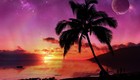 Picture for song 'Islands Of Langerhans' by artist 'All Human Parts Orchestra'