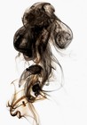 Picture for song 'The Hollows' by artist 'All Jams'