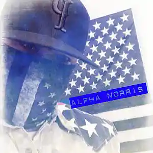 Picture for song 'WING DING' by artist 'Alpha Norris'